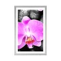 POSTER MIT PASSEPARTOUT WUNDERSCHÖNE ORCHIDEE UND STEINE - FENG SHUI - POSTER