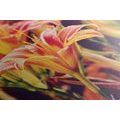 CANVAS PRINT BEAUTIFUL BLOOMING FLOWERS IN THE GARDEN - PICTURES FLOWERS - PICTURES