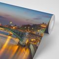 WALL MURAL DAZZLING PANORAMA OF PARIS - WALLPAPERS CITIES - WALLPAPERS