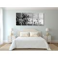 5-PIECE CANVAS PRINT GRASS BLADES IN A FIELD IN BLACK AND WHITE - BLACK AND WHITE PICTURES - PICTURES