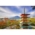 SELF ADHESIVE WALL MURAL VIEW OF CHUREITO PAGODA AND MOUNT FUJI - SELF-ADHESIVE WALLPAPERS - WALLPAPERS