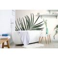 WALL MURAL BEAUTIFUL PALM LEAF - WALLPAPERS NATURE - WALLPAPERS