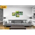 CANVAS PRINT SET MORNING DEW ON A MEADOW - SET OF PICTURES - PICTURES