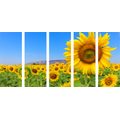 5-TEILIGES WANDBILD FELD MIT SONNENBLUMEN - BILDER BLUMEN - BILDER