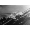 CANVAS PRINT FENG SHUI STILL LIFE IN BLACK AND WHITE - BLACK AND WHITE PICTURES - PICTURES