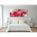 5-PIECE CANVAS PRINT BEAUTIFUL SKETCHED POPPIES - PICTURES FLOWERS - PICTURES