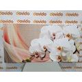 WANDBILD WEISSE ORCHIDEE AUF LEINWAND - BILDER BLUMEN - BILDER