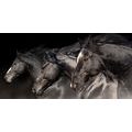 CANVAS PRINT THREE GALLOPING HORSES - PICTURES OF ANIMALS - PICTURES