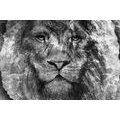 CANVAS PRINT LION'S FACE IN BLACK AND WHITE - BLACK AND WHITE PICTURES - PICTURES