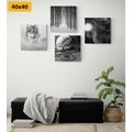 CANVAS PRINT SET MYSTERIOUS WOLF IN BLACK AND WHITE - SET OF PICTURES - PICTURES