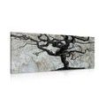 PICTURE ABSTRACT TREE ON WOOD - PICTURES OF TREES AND LEAVES - PICTURES