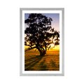 POSTER MIT PASSEPARTOUT ALLEINSTEHENDER BAUM BEI SONNENUNTERGANG - NATUR - POSTER