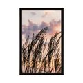 AFFICHE HERBE AU COUCHER DU SOLEIL - NATURE - AFFICHES