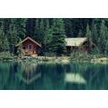 SELF ADHESIVE WALL MURAL PARK YOHO IN CANADA - SELF-ADHESIVE WALLPAPERS - WALLPAPERS