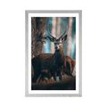 POSTER MIT PASSEPARTOUT HIRSCH IM WALD - TIERE - POSTER