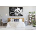 CANVAS PRINT SPA STILL LIFE IN BLACK AND WHITE - BLACK AND WHITE PICTURES - PICTURES