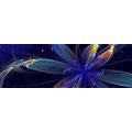 CANVAS PRINT VIRTUAL FLOWER - ABSTRACT PICTURES - PICTURES