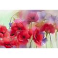 CANVAS PRINT BEAUTIFUL DRAWN POPPIES - PICTURES FLOWERS - PICTURES