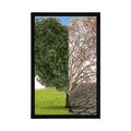 POSTER BAUM IN ZWEI FORMEN - NATUR - POSTER