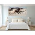CANVAS PRINT HERD OF HORSES - PICTURES - 🔥 TOTAL SALE 🔥