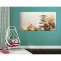 CANVAS PRINT ZEN STONES WITH SEASHELLS - PICTURES FENG SHUI - PICTURES