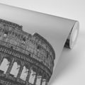 SELF ADHESIVE WALL MURAL COLOSSEUM IN BLACK AND WHITE - SELF-ADHESIVE WALLPAPERS - WALLPAPERS