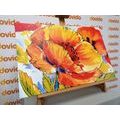 CANVAS PRINT BOUQUET OF POPPY FLOWERS - PICTURES FLOWERS - PICTURES