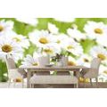 SELF ADHESIVE WALL MURAL SPRING MEADOW FULL OF FLOWERS - SELF-ADHESIVE WALLPAPERS - WALLPAPERS