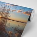 WALL MURAL GRASS BLADES BY THE LAKE - WALLPAPERS NATURE - WALLPAPERS