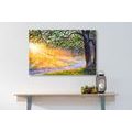 OBRAZ VÝCHOD SLNKA V LESE - OBRAZY - TOTÁLNÍ VÝPRODEJ 🔥