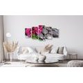 5-PIECE CANVAS PRINT BLOOMING ORCHID AND WELLNESS STONES - PICTURES FENG SHUI - PICTURES