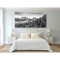 CANVAS PRINT FROZEN MOUNTAINS IN BLACK AND WHITE - BLACK AND WHITE PICTURES - PICTURES