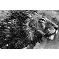 CANVAS PRINT KING OF ANIMALS IN BLACK AND WHITE WATERCOLOR - BLACK AND WHITE PICTURES - PICTURES