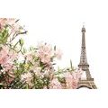 WALL MURAL EIFFEL TOWER AND PINK FLOWERS - WALLPAPERS CITIES - WALLPAPERS