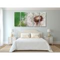 5-PIECE CANVAS PRINT DANDELION SEEDS - PICTURES FLOWERS - PICTURES