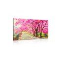 CANVAS PRINT HIMALAYAN CHERRIES - PICTURES OF NATURE AND LANDSCAPE{% if product.category.pathNames[0] != product.category.name %} - PICTURES{% endif %}