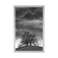 POSTER BLACK AND WHITE LONELY TREES - BLACK AND WHITE - POSTERS