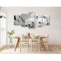 5-PIECE CANVAS PRINT ORCHID ON A CANVAS IN BLACK AND WHITE - BLACK AND WHITE PICTURES - PICTURES