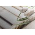 CANVAS PRINT MEDITATION WELLNESS STILL LIFE - PICTURES FENG SHUI - PICTURES