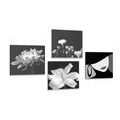 SET OF PICTURES ELEGANCE OF WOMAN AND FLOWERS IN BLACK & WHITE DESIGN - SET OF PICTURES{% if kategorie.adresa_nazvy[0] != zbozi.kategorie.nazev %} - PICTURES{% endif %}