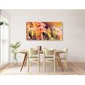 CANVAS PRINT BEAUTIFULLY BLOOMING GARDEN FLOWERS - PICTURES FLOWERS - PICTURES