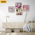 CANVAS PRINT SET FLOWERS IN VINTAGE STYLE - SET OF PICTURES - PICTURES