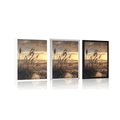 POSTER SONNENUNTERGANG AM STRAND - NATUR - POSTER