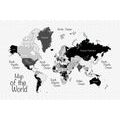 CARTA DA PARATI – MAPPA IN BIANCO E NERO ELEGANTE - CARTA DA PARATI MAPPE - CARTA DA PARATI