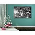 CANVAS PRINT DREAM CATCHER IN BLACK AND WHITE - BLACK AND WHITE PICTURES - PICTURES