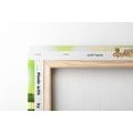 WANDBILD JAPANISCHE ORCHIDEE - BILDER MIT FENG SHUI-MOTIVEN - BILDER