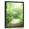 POSTER – SENTIERO SULL'ISOLA SEYCHELLES - NATURA - POSTER