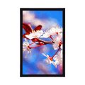 POSTER – FIORE DI CILIEGIO - FIORI - POSTER