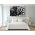CANVAS PRINT KING OF ANIMALS IN BLACK AND WHITE WATERCOLOR - BLACK AND WHITE PICTURES - PICTURES