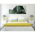 CANVAS PRINT MONSTERA LEAF - STILL LIFE PICTURES - PICTURES